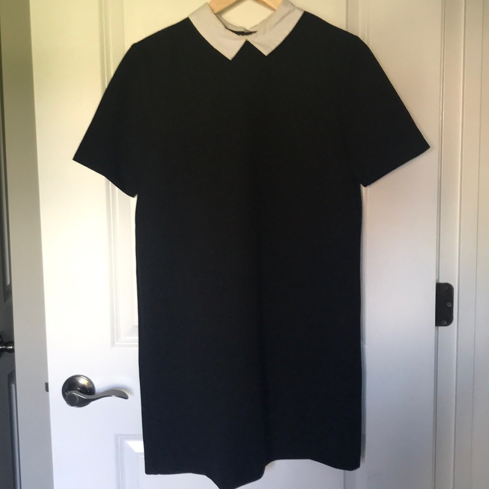 Zara collared mini dress